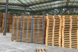 木托盤在大型購物商場(chǎng)的應(yīng)用